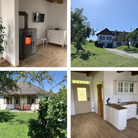 Urlaub Im Weingarten Winten  Ngoại thất bức ảnh