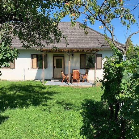 Urlaub Im Weingarten Winten  Ngoại thất bức ảnh