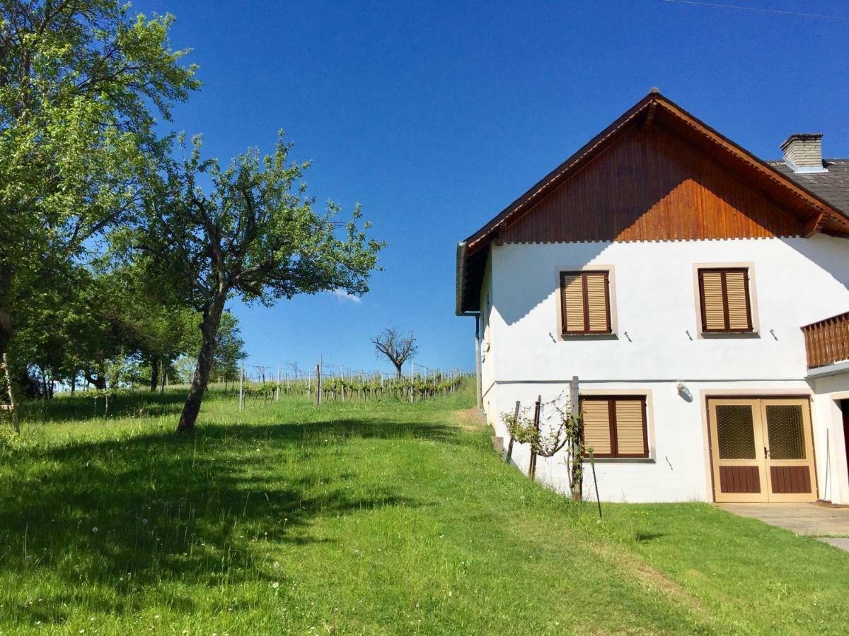 Urlaub Im Weingarten Winten  Ngoại thất bức ảnh