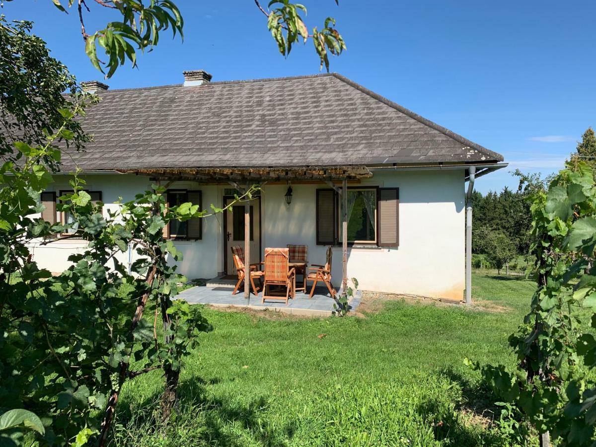 Urlaub Im Weingarten Winten  Ngoại thất bức ảnh